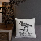 Oystercatcher Pillow