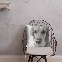 Emily Premium Pillow