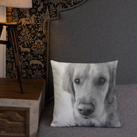 Emily Premium Pillow