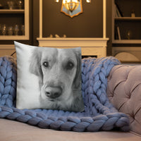 Emily Premium Pillow