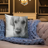 Emily Premium Pillow