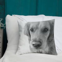 Emily Premium Pillow