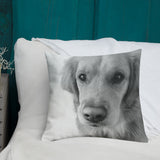 Emily Premium Pillow
