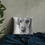 Emily Premium Pillow