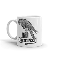 Kestrel Flinders Island