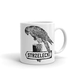 Kestrel Flinders Island